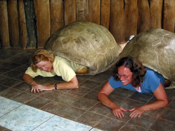 Barb & Sue come out of their shells!