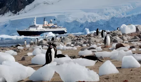 Penguins and cruise ship in Antarctica
