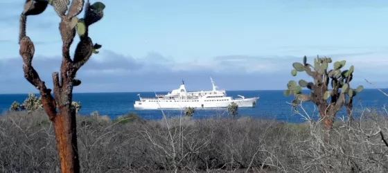 Cruise the Galapagos on the Legend ship