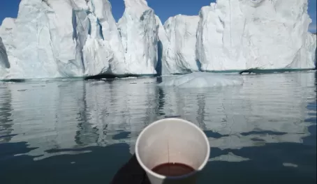 Mulled Wine: Enhances iceberg experience