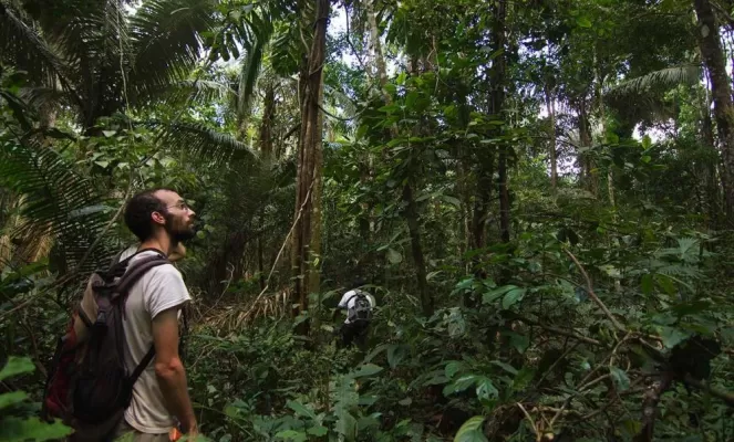 Exploring the rainforest at Romero Lodge