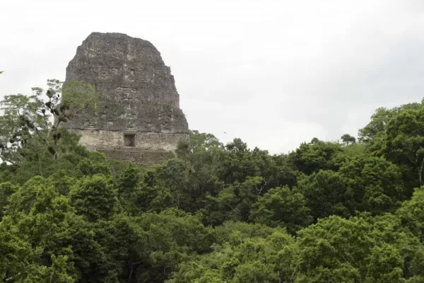 The famous Tikal temple used in the filming of Star Wars