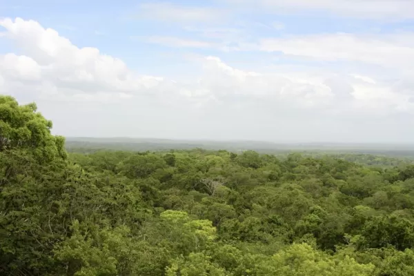 The breathtaking view from the top of Temple IV at Tikal