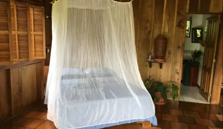 Comfy beds, and netting to protect us from the critters