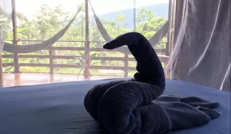 A beautiful swan on my Mom's bed!