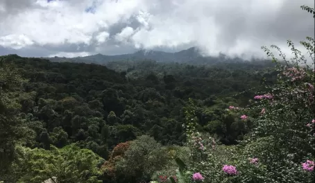 Our view while eating lunch at the La Paz Waterfall Gardens