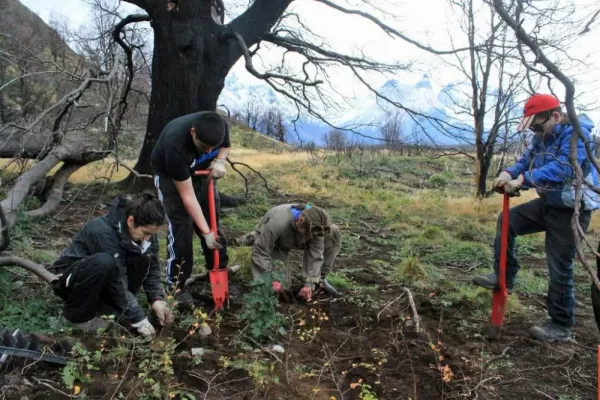 Local high school students participate in reforestation of Torres del Paine