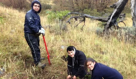 Local high school students participate in reforestation of Torres del Paine during the campaign 20 mil lengas para Paine
