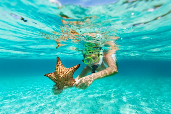 Snorkeling in the Caribbean with a starfish
