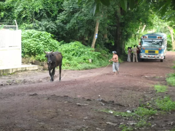 some of the things you will see on a road in Nicaragua