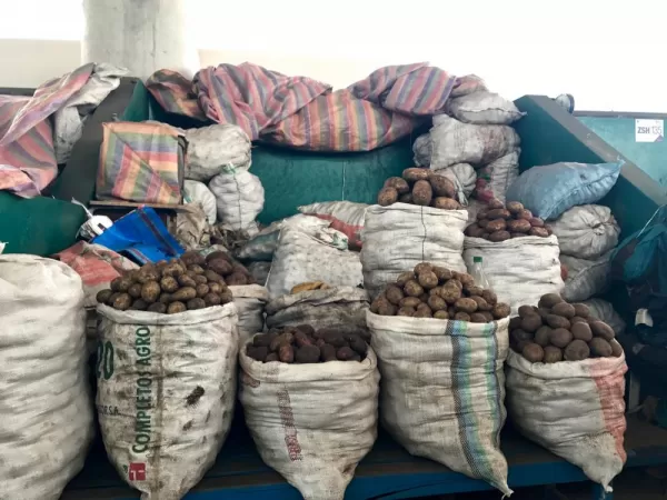 Potatoes at the Otavalo market.