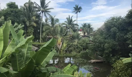 The beautiful gardens at my hotel in Luang Prabang - Maison Dalabua