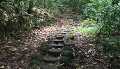 Is the trail going up or down? Optical illusions