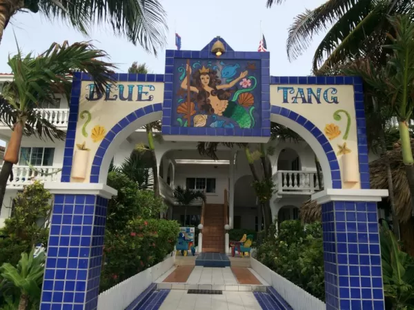 Our island home, Blue Tang Inn.
