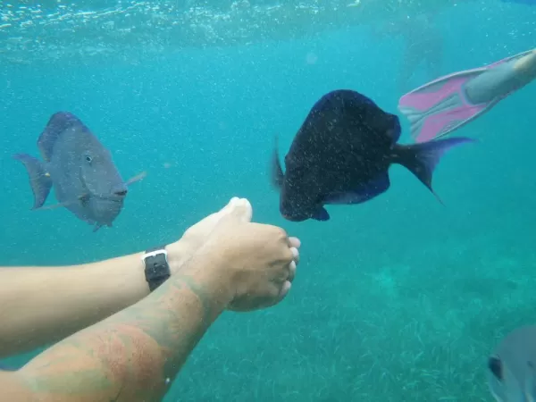 Our guide feeding a fish friend.
