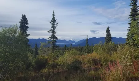 Wrangell–St. Elias National Park and Preserve