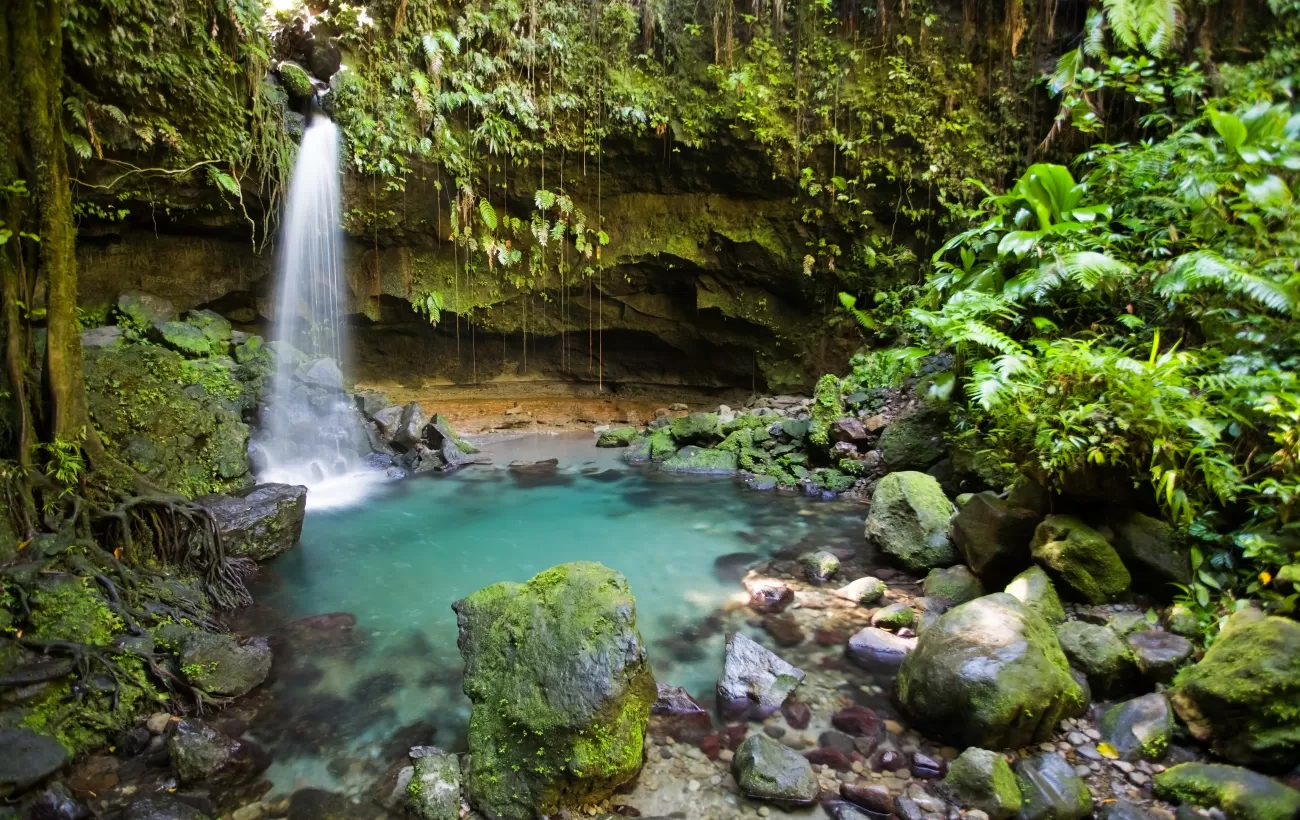 Tropical waterfall and turquoise pool in lush forest