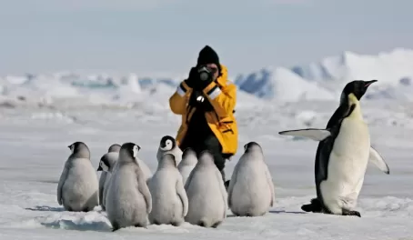 Photographing emperor penguins on Snow Hill Island