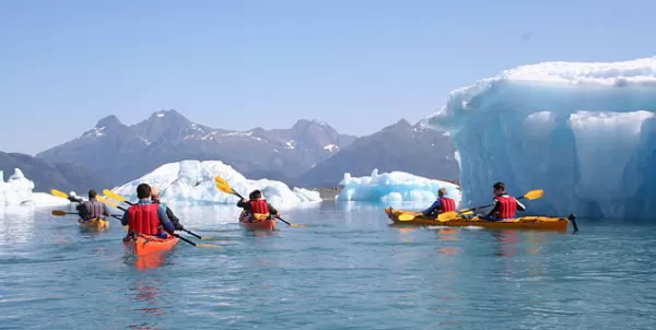 Kayaking near icebergs