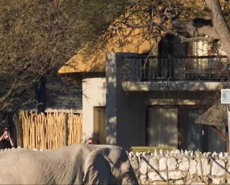 Watch wildlife frequent the watering hole from your chalet