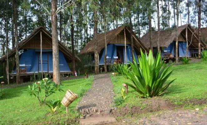 Eco-Omo Safari Lodge