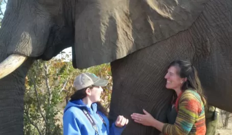 Elephant Encounter Victoria Falls