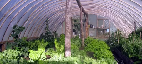 The Bio-Bio greenhouse