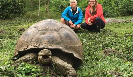 Highlands of Santa Cruz to see tortoises