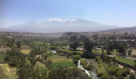 Arequipa - where palm trees, volcanoes, city life and farming meet!
