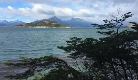Looking across the Beagle Channel from Tierra del Fuego National Park