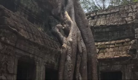 Ta Prohm, Angkor Archaeological Park, Cambodia