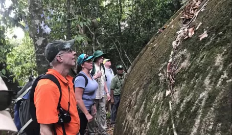 Our guide explains some local flora