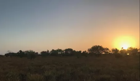 Dawn breaks over the Guyana savanna