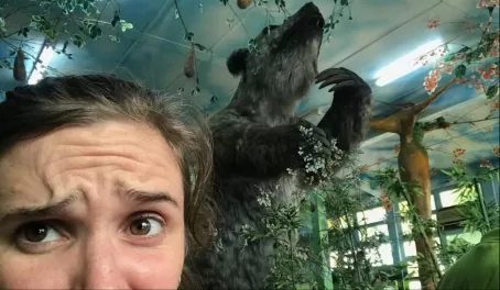That's a big sloth