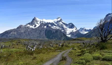 Torres del Paine National Park - Full Day "Paine by Van" tour