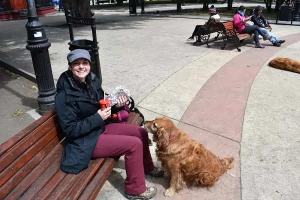 Punta Arenas, Chile - SO many stray dogs