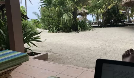 Xanadu Island Resort - Enjoying the "locals" while I work