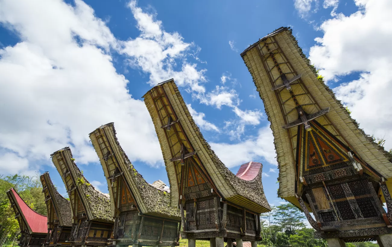 Learn about the history and culture of Sulawesi