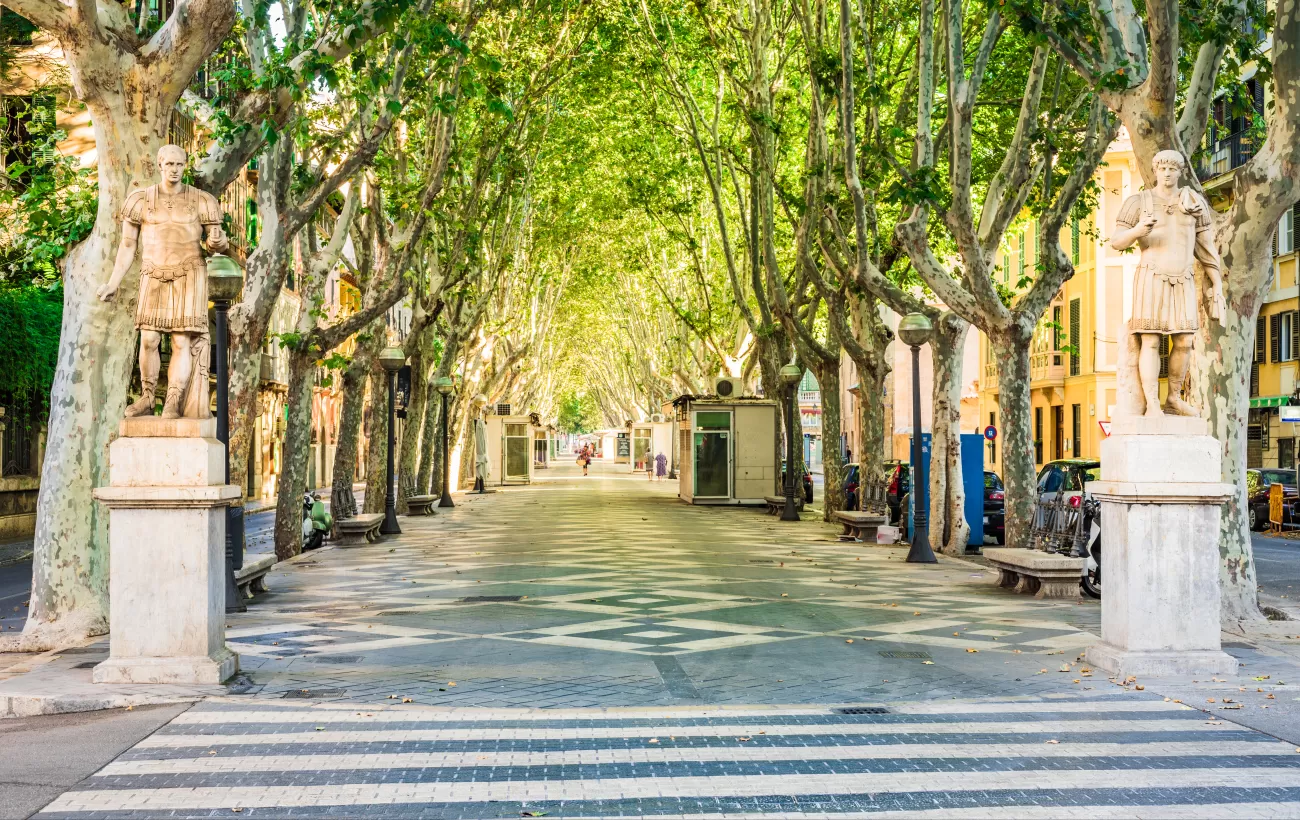 Wander through the vibrant streets of Barcelona