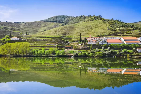 Cruise along the scenic Douro river