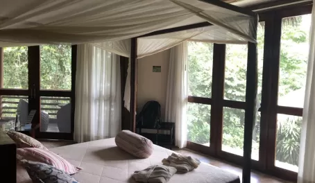 Our room overlooking the jungle