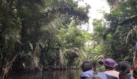 Feeling surrounded by the jungle as we paddle to La Selva.