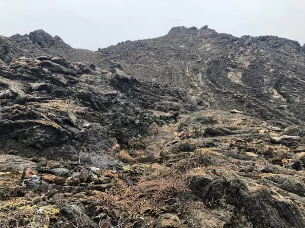 The surrealist volcano-influenced landscape of Bartolome
