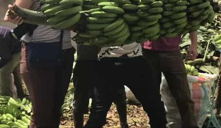 Helping the locals pack their bananas to ship to other locations.