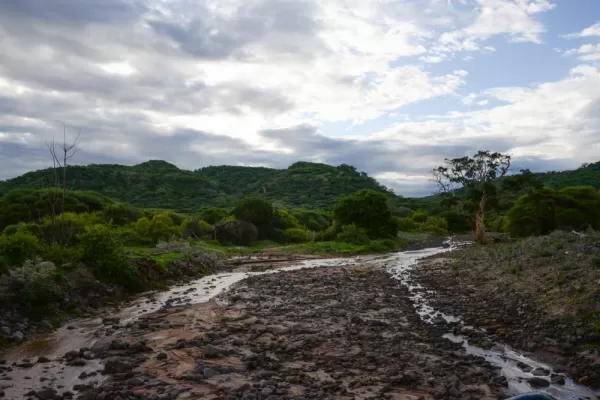 Lake Manyara area is so lush and green thanks to many underground rivers.