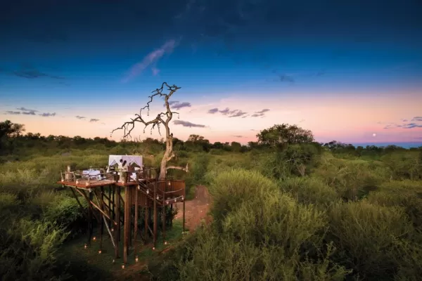 Immerse yourself in the wilds of Greater Kruger in Lion Sands' Tree House