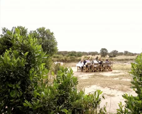 Bush Breakfast at Camp Zebra
