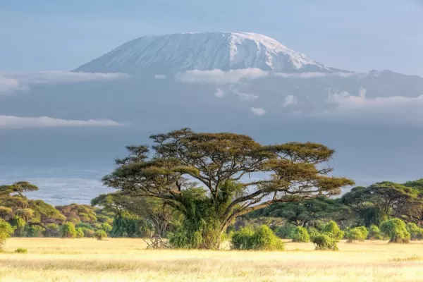 Mt. Kilimanjaro looms over the plains of Tanzania