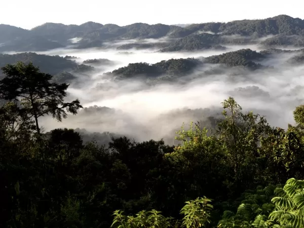 The beautiful landscape of Nyungwe Rainforest