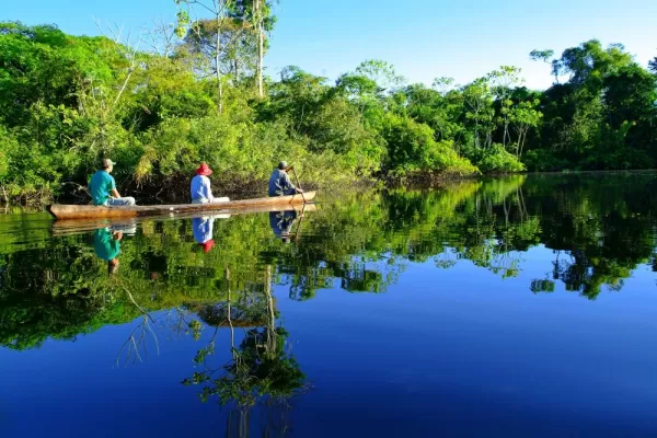 Mirrored forest in the Amazon